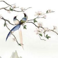 车牌号最后一位是9 代表尊贵吉利好运增涨