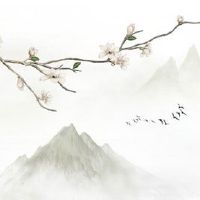 车牌号最后一位是G 寓意财运旺盛家庭美满