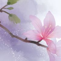 洋气卤肉店名字 高端大气卤味店面起名