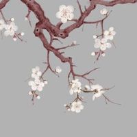 1980年属猴一生有二婚之命 旺盛的桃花运婚后带来麻烦