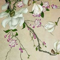 丰耳垂真的可以提运吗 事业顺利官途财运亨通