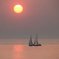 为什么吊兰对风水不好 吊兰摆放的风水宜忌