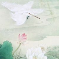 车牌禁用的字母是哪些 车牌号不能用什么字母