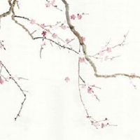 2004年属猴人2022年下半年运势及运程 犯太岁影响财运