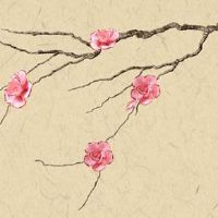 夫妻宫逢冲的女人嫁得不好吗 婚姻宫逢冲婚姻难长久