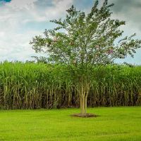 射手座和什么星座是注定的星座婚配