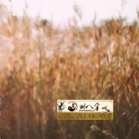 祖上积德的人有哪些特点