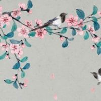 1969年属鸡人50岁到55岁命运 财运旺盛且偏财有望