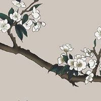 2016年属猴人的幸运数字和颜色 2016年属猴人永远最旺的颜色