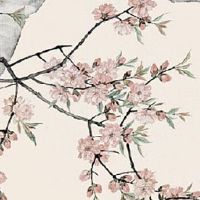 2016年属猴是什么命 2016年属猴五行属什么