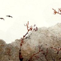 2022年生肖龙女运势运程回暖中有待提升