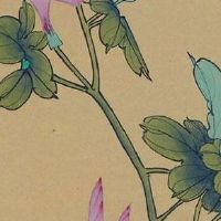 2004年猴适合去哪个方向上学 04年属猴女适合选什么专业