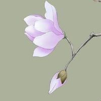 靠自己发财的女命八字 财运节节高事业机遇多