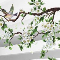 车牌号未位S 寓意运势曲折波动难有发展