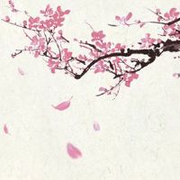 2022年白露前后生的虎宝宝好吗 事业成功潜力无限