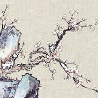 2022年白露出生的宝宝命运 名扬四海 能享清福