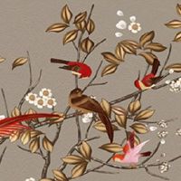 车牌号中间带字母好不好 车牌号码最忌字母S