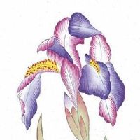 2022年11月19日出生男宝宝怎么取好名字 男孩五行水旺的最佳名字