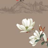 为什么车牌不能选0和6 0是最小数字能量不够