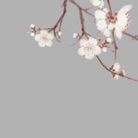 2022年11月28日出生女婴怎么取名吉祥 女孩五行不缺的最适宜名字