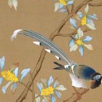 1981年属鸡人2022年下半年运势 正财稳定感情事业稍有波动