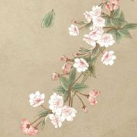 车牌最好不带什么字母 车牌带B寓意要经历大灾大难