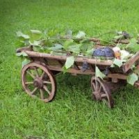 怎样起名好听又有意义