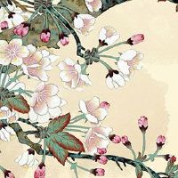 2022年11月25日出生优雅女孩名字免费 女孩五行水旺的好听名字