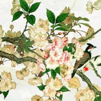 2022年11月25日生的男孩最吉利的名字 男孩五行水旺的好听名字推荐