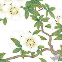 2004年猴和2003年的羊能结婚吗 2004年属猴的最佳配偶