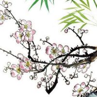 珠宝品牌取名字 寓意兴旺的宝石公司起名