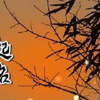 淘宝服装店名称取什么好 服装店名字大全