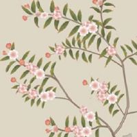 1981年生肖鸡的幸运数字幸运颜色 属金颜色数字带来好运与福气