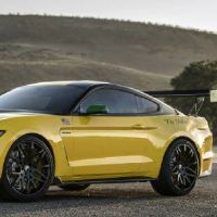 缺木的人选什么车牌 数理变化判断吉祥如意数字