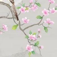 1992年生肖猴五行属什么 1992年属猴是什么命