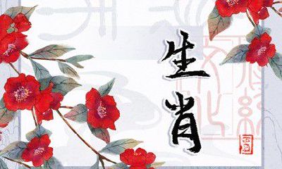 探讨十二生肖配对:属鼠与哪些生肖最佳匹配?详解婚配表!