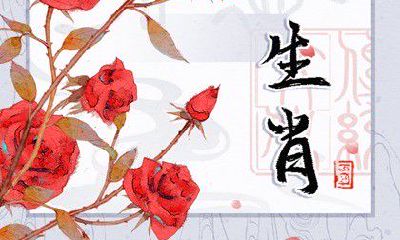 他们的缘分超越生肖界限吗?生肖羊和兔是否天生一对,宿命难逃?