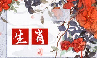 与属龙女命配对的生肖男及龙年生肖女适合的配偶是什么?