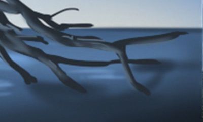 在己巳年间生长的大型林木的特点和生存状况如何?