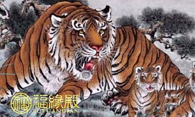 哪些生肖在十月份可能遇到不佳的财运?