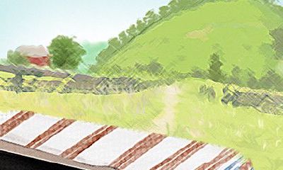 无花果树会对风水产生何种影响?旺气还是招煞?