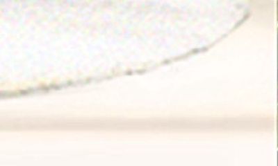 哪些植物最适合置于家中,以实现最好的生长状态和视觉效果?