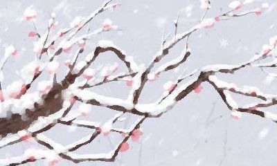 什么是2020年冬至日期?冬至日应该选择哪些食品来应对寒冷的天气?