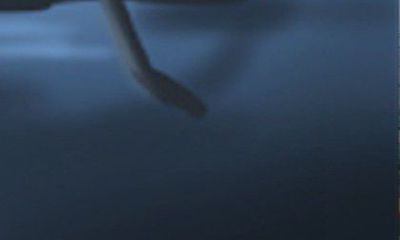 如何布置别墅庭院中的鱼池,才能最大化增添户主的利益?