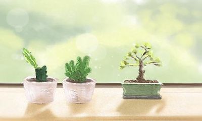 室内装饰之道:五种美丽花草,助力家居催旺风水!