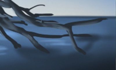 属猴的夫妻:如何保持长久的婚姻关系?