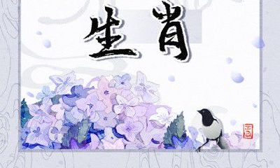 探寻2023年最顺利的生肖,狗年神助攻略准确指引