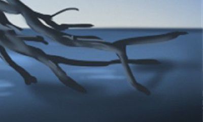 什么是二手房风水最忌讳的?——风水解析