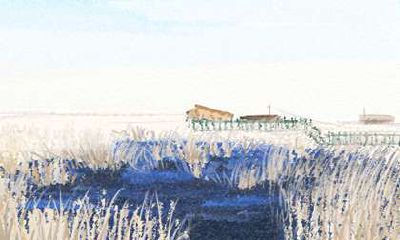 家中养黑猫 风水对贵人运势造成影响