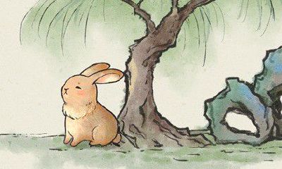 哪些生肖和属兔最为投缘?探究属虎与属兔是否搭配得宜并成为好朋友?